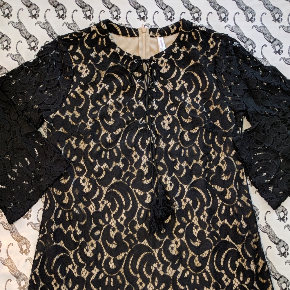 🥂New Item🥂🥂 Lace shift dress